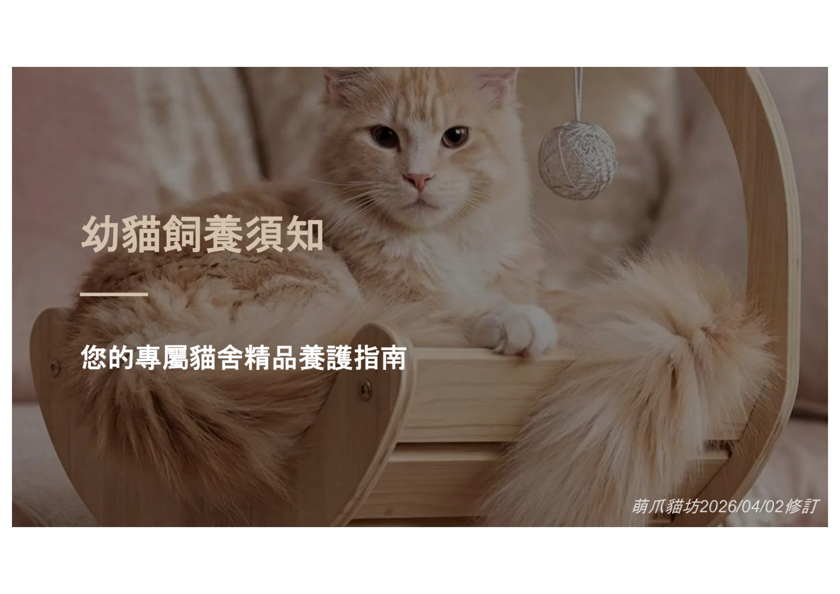 第1頁