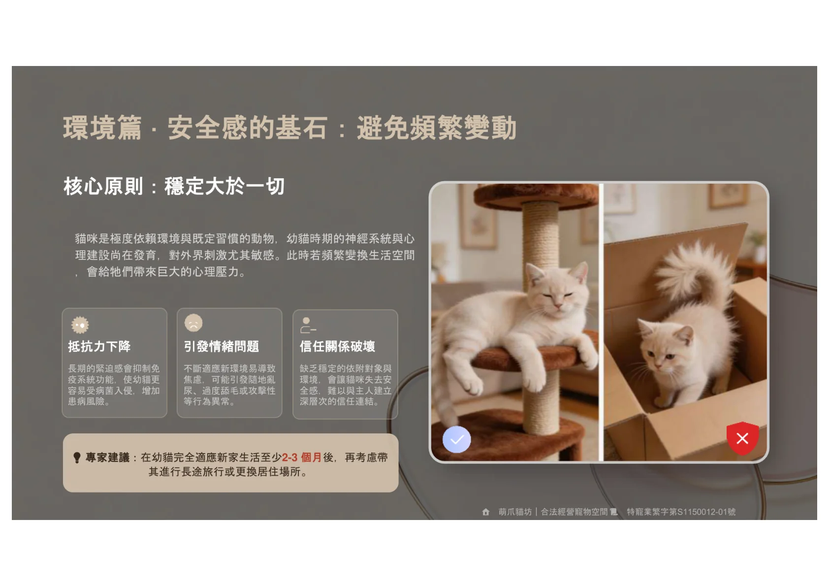 第6頁
