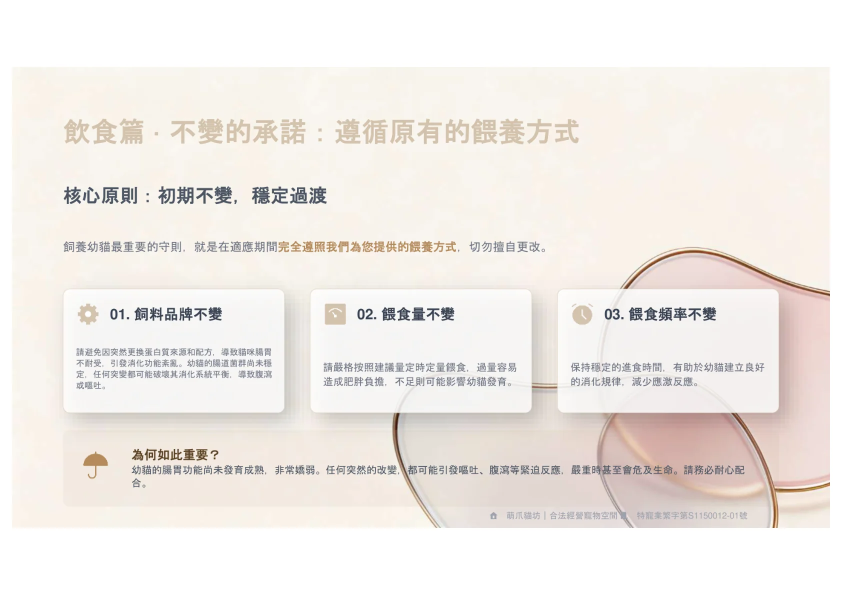 第10頁