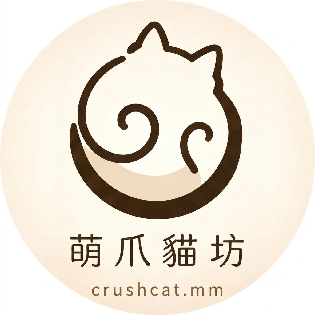 全品種英短奶油色幼貓-萌爪貓坊-全台專案尋貓