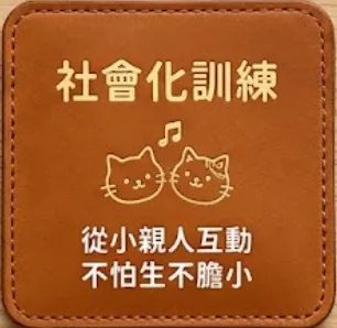 社會化訓練